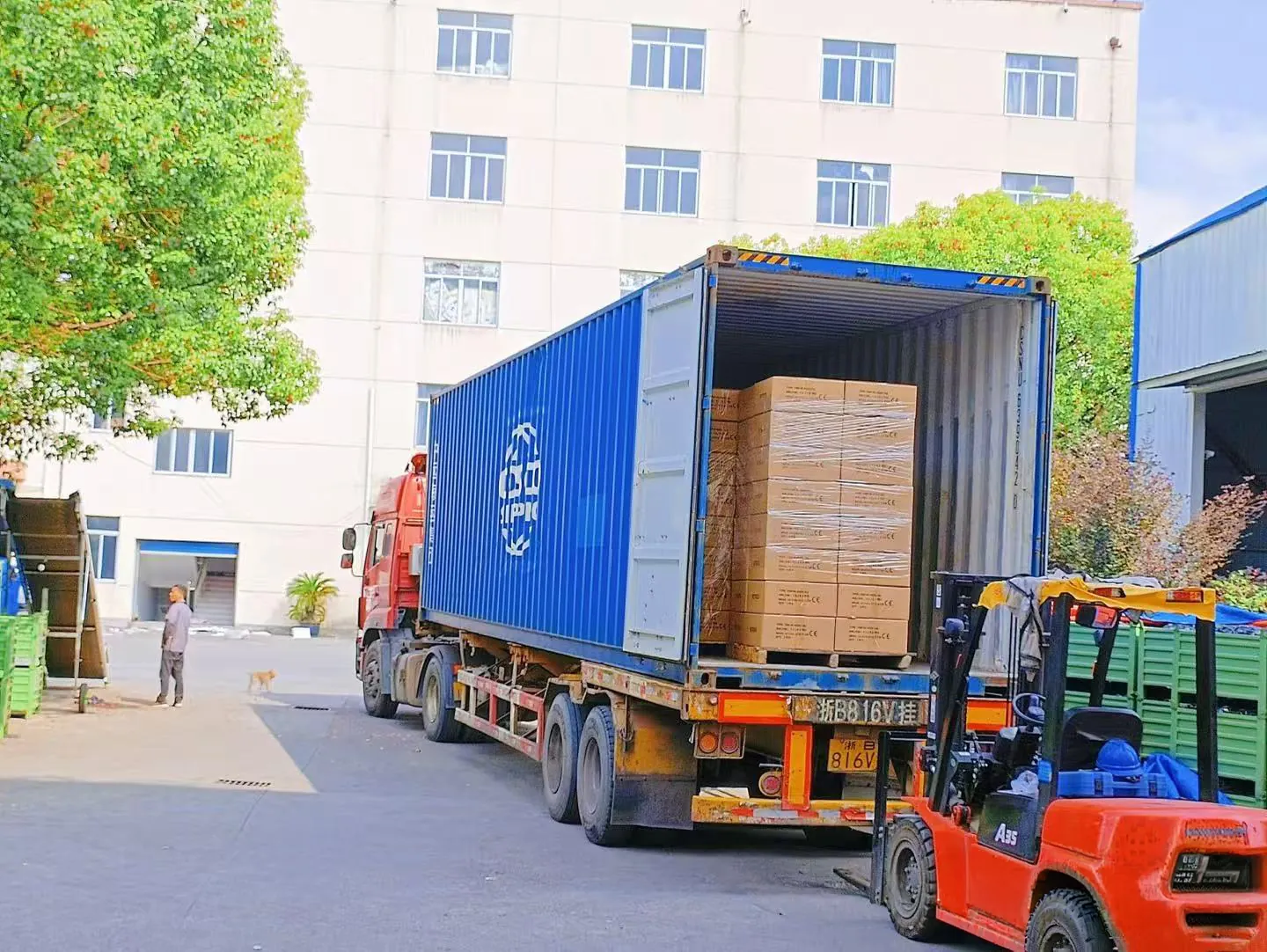 Container loading with boxed goods ready for export shipment
