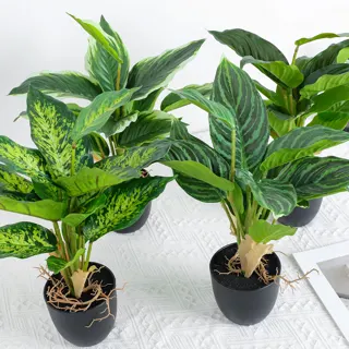 Artificial Aglaonema Bush, 41 cm