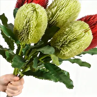 Artificial Banksia Stem