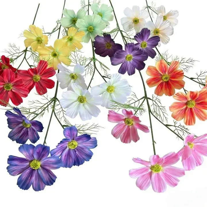 Artificial Cosmos Stems, Mixed Colours