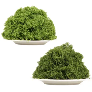 Artificial Moss for Pots and Mini Gardens