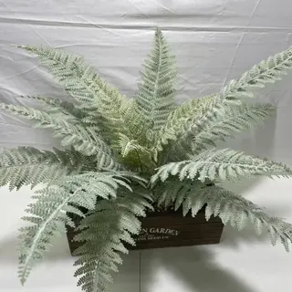 Artificial Persian Fern Stem for Plant Walls