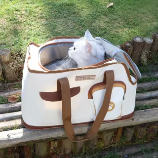 Breathable Mesh Pet Carrier Tote