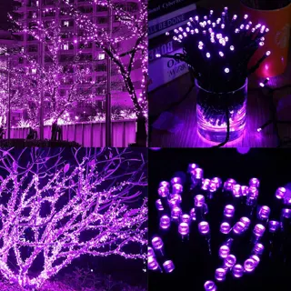 Custom Halloween Purple String Lights