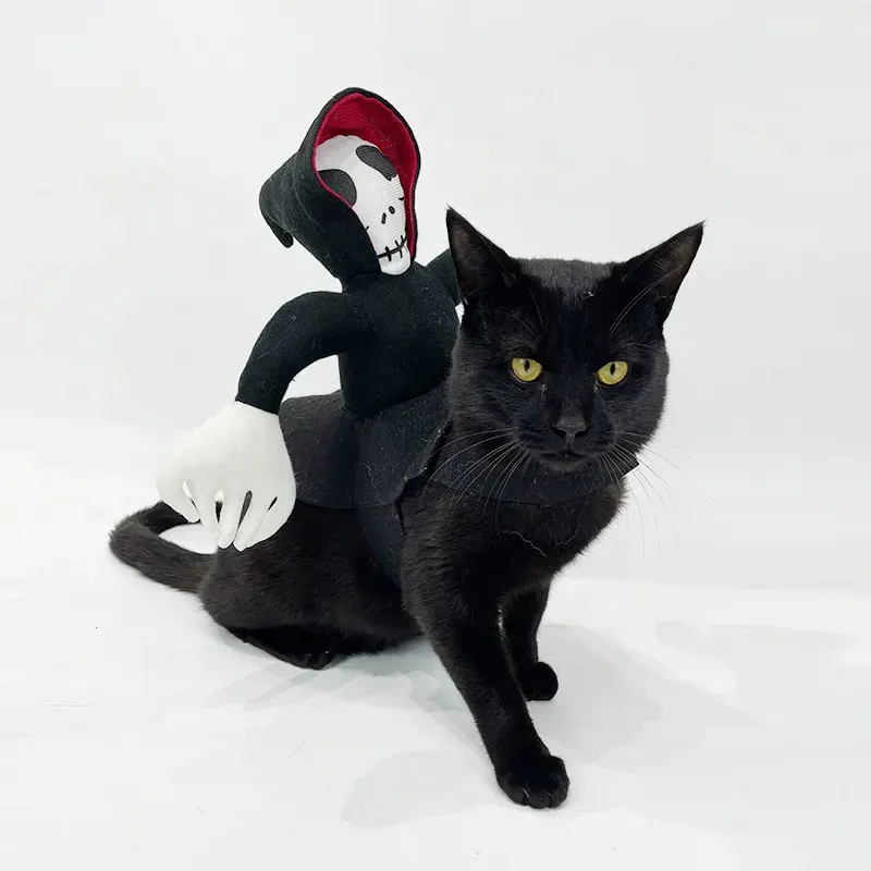 Halloween Ghost Rider Cat Costume