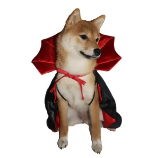 Halloween Vampire Cape for Dogs and Cats