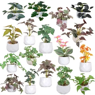 Mini Artificial Plants in White Pots