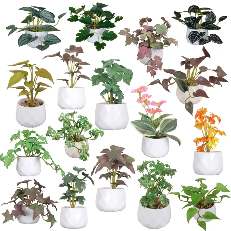 Mini Artificial Plants in White Pots
