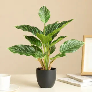 Real-Touch Aglaonema in Pot