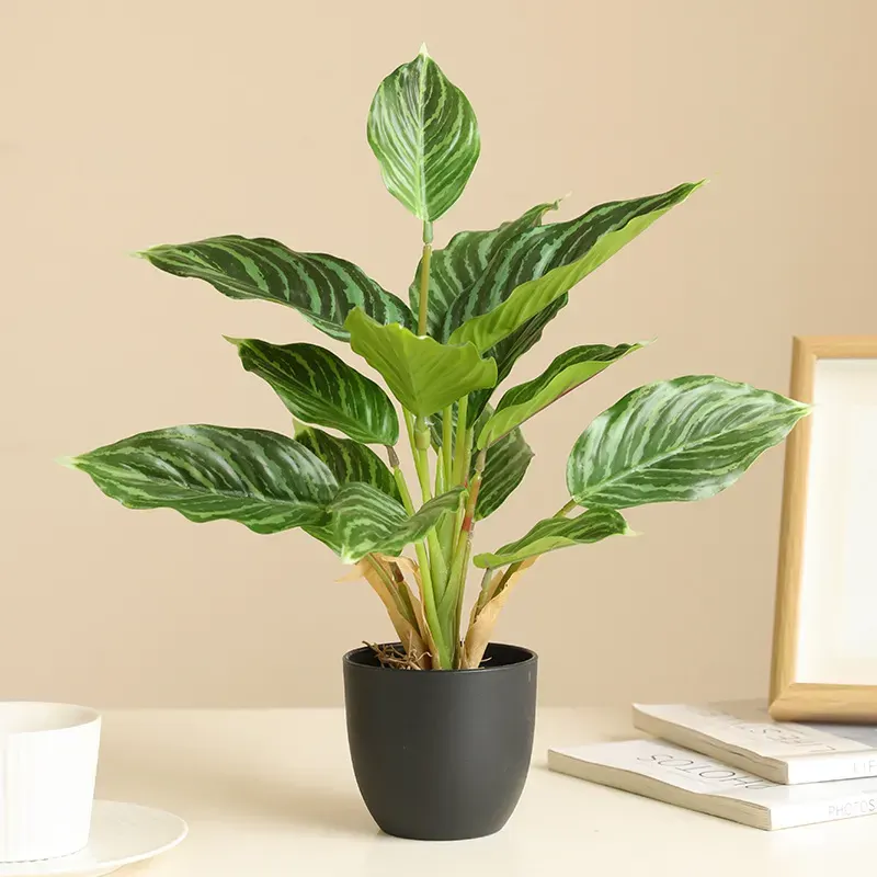 Real-Touch Aglaonema in Pot