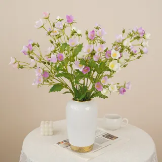 Silk Bellflower Stem