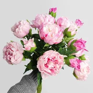 Silk Peony Stem, 2 Heads, 50 cm